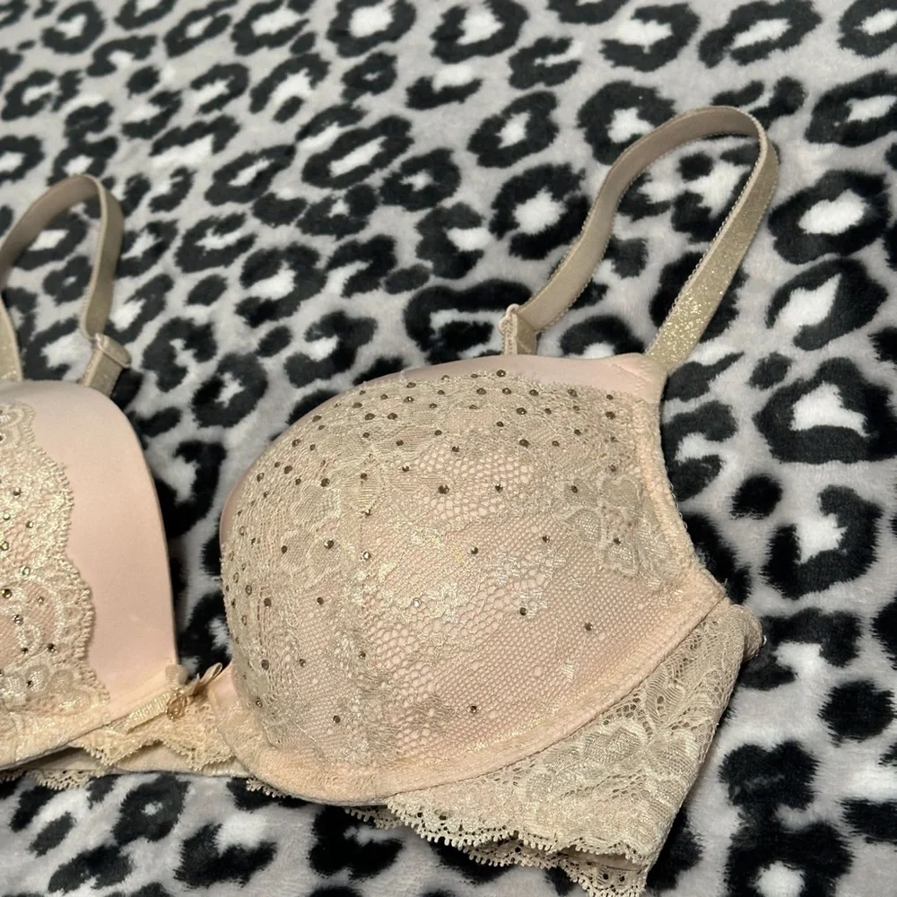 Dream Angels Push Up 34D